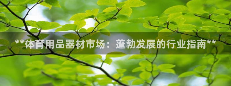 欧陆娱乐官方网站：**体育用品器材市场：蓬勃发展的行