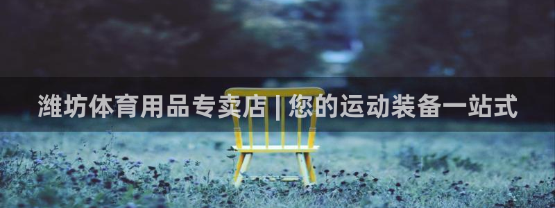 欧陆娱乐公司产品介绍大全：潍坊体育用品专卖店 | 您