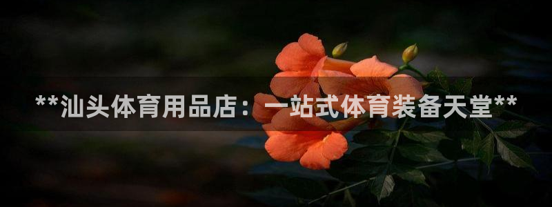 欧陆娱乐里面怎么看打排五：**汕头体育用品店：一站式