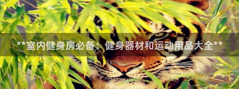 欧陆娱乐是资金盘吗：**室内健身房必备：健身器材和运