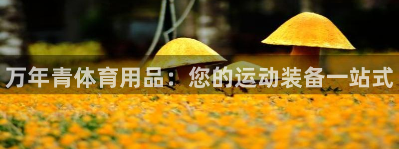 欧陆娱乐提现多久到账：万年青体育用品：您的运动装备一