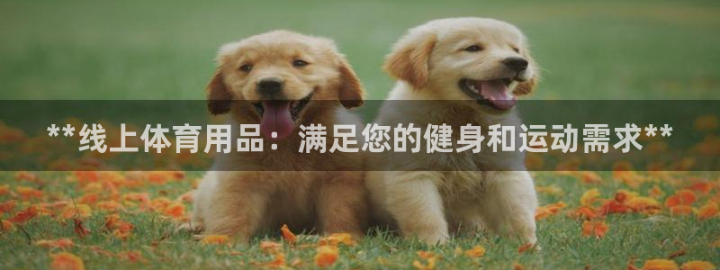 欧陆娱乐注册链接怎么弄：**线上体育用品：满足您的健