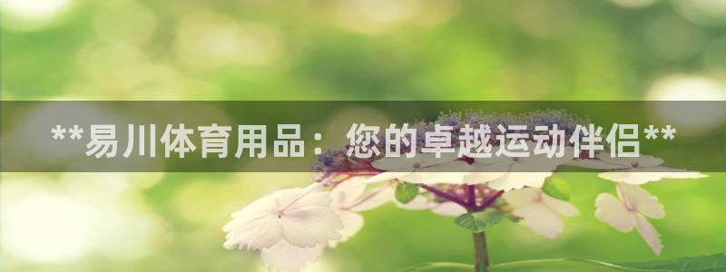 欧陆娱乐访问：**易川体育用品：您的卓越运动伴侣**