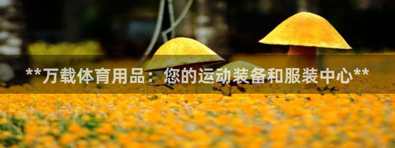 欧陆娱乐app攻略：**万载体育用品：您的运动装备和