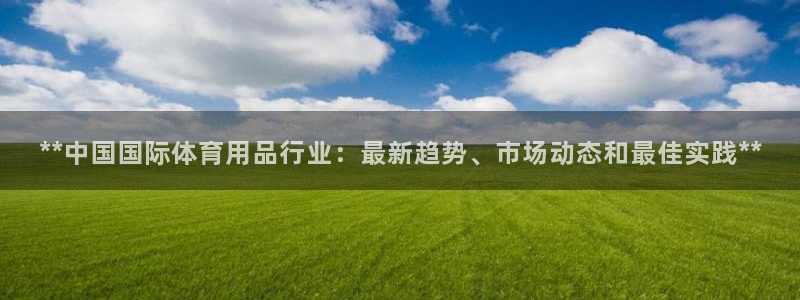 欧陆娱乐总代理是谁：**中国国际体育用品行业：最新趋