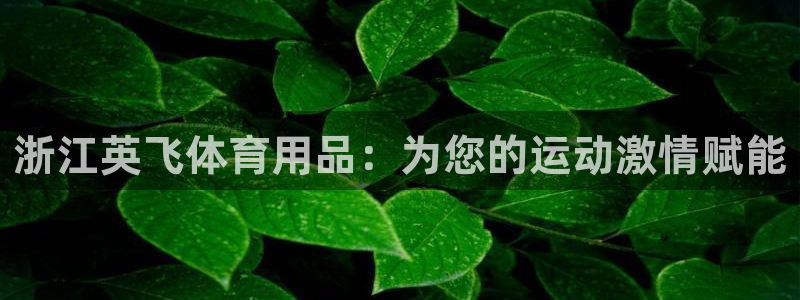 欧陆娱乐讲7O777：浙江英飞体育用品：为您的运动激