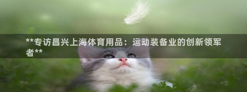 欧陆娱乐能提现嘛现在：**专访昌兴上海体育用品：运动