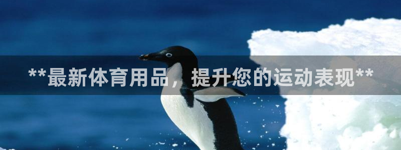 欧陆娱乐挂机怎么玩：**最新体育用品，提升您的运动表