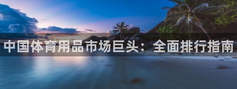 欧陆娱乐游戏：中国体育用品市场巨头：全面排行指南