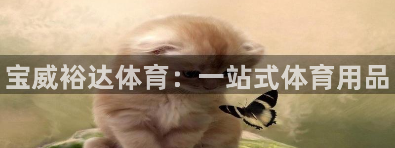 欧陆娱乐官网网址：宝威裕达体育：一站式体育用品