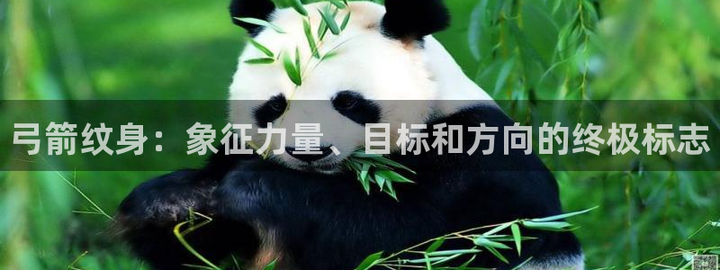 欧陆娱乐里面怎么看打排五：弓箭纹身：象征力量、目标和