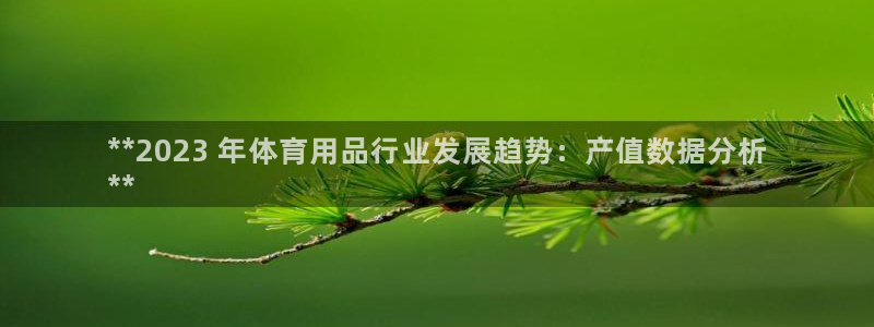 欧陆娱乐平台官网：**2023 年体育用品行业发展趋