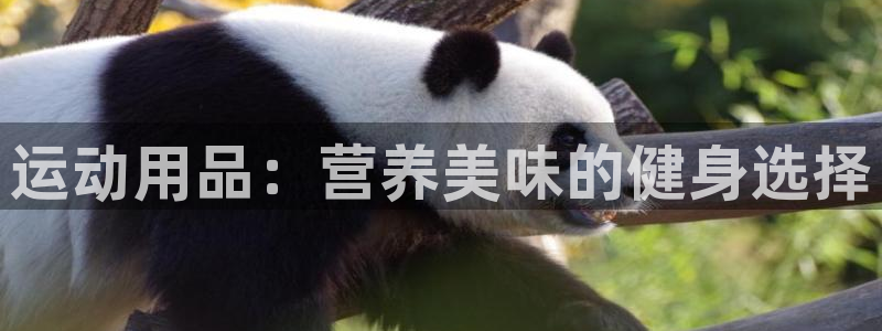 欧陆娱乐官网下载安装：运动用品：营养美味的健身选择
