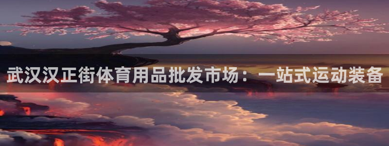 欧陆娱乐登陆平台有哪些：武汉汉正街体育用品批发市场：一站式运