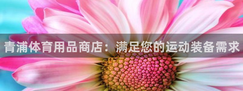 欧陆娱乐登陆平台：青浦体育用品商店：满足您的运动装备