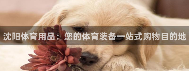 欧陆娱乐官网下载安装最新版本：沈阳体育用品：您的体育