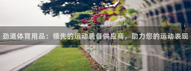 欧陆娱乐怎么注册账号登录：劲道体育用品：领先的运动装