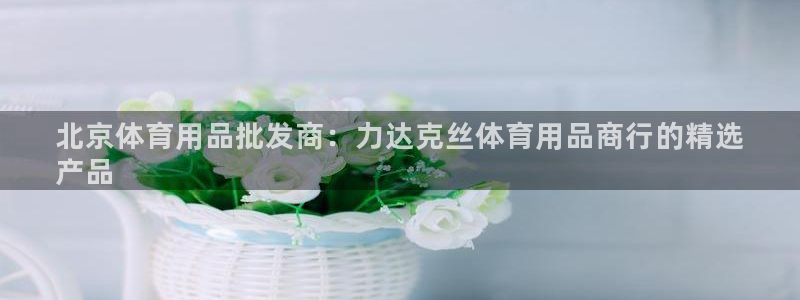 欧陆娱乐登陆平台下载：北京体育用品批发商：力达克丝体