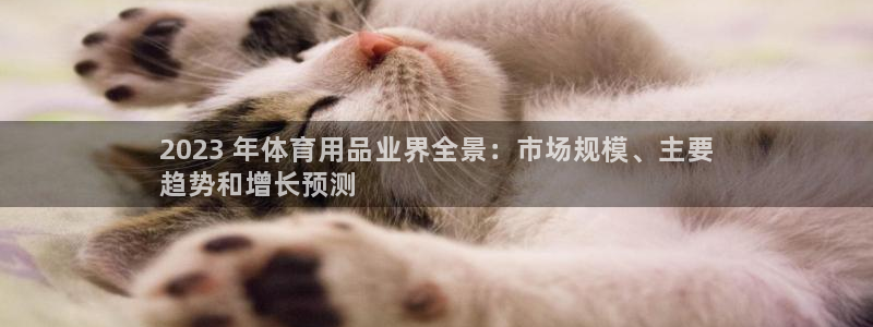 欧陆娱乐不让提现：2023 年体育用品业界全景：市场