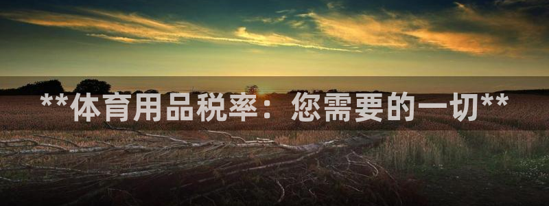 欧陆娱乐挂机怎么玩的：**体育用品税率：您需要的一切