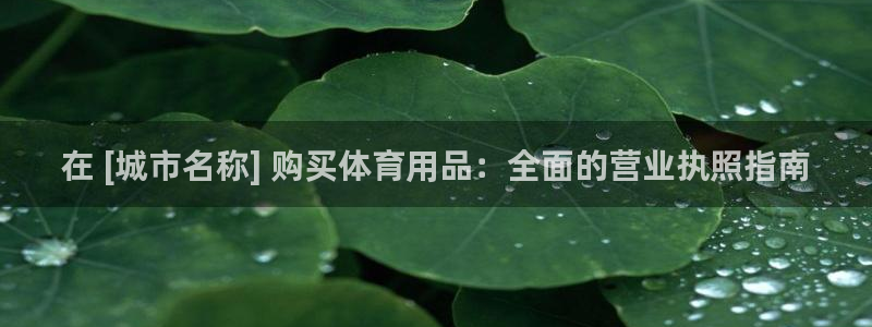 欧陆娱乐官方下载安装：在 [城市名称] 购买体育用品