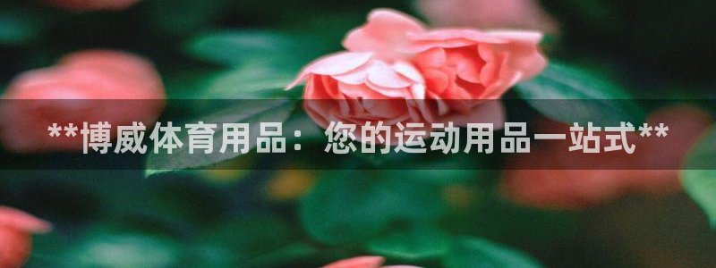 欧陆是什么平台：**博威体育用品：您的运动用品一站式
