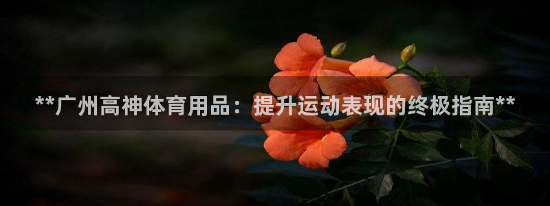 欧陆娱乐可以退钱吗安全吗：**广州高神体育用品：提升