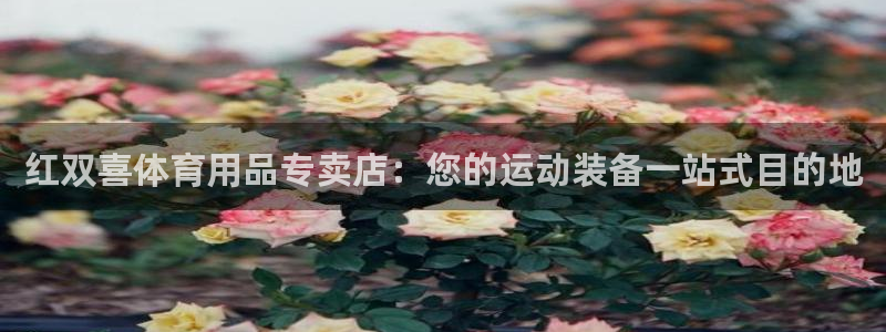 欧陆娱乐app攻略下载：红双喜体育用品专卖店：您的运