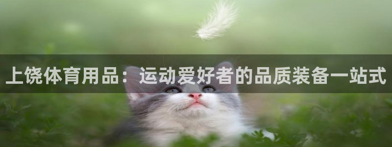 欧陆娱乐出款：上饶体育用品：运动爱好者的品质装备一站