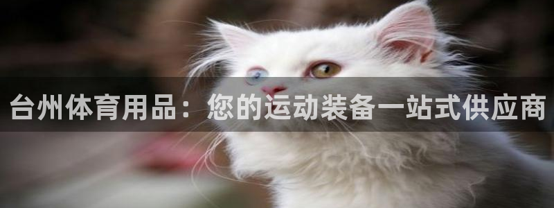 欧陆娱乐平台登陆地址：台州体育用品：您的运动装备一站