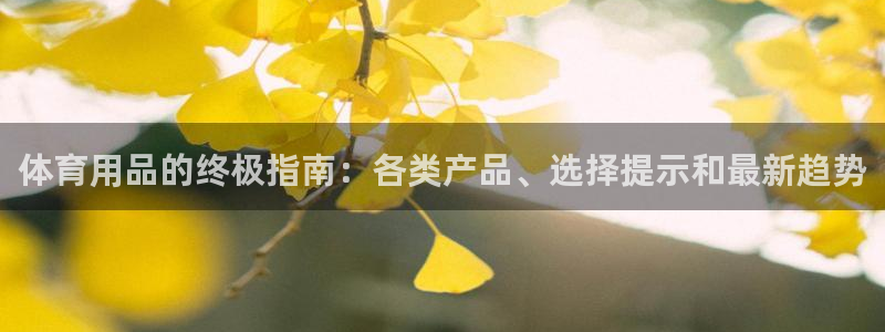 欧陆娱乐线路测速：体育用品的终极指南：各类产品、选择