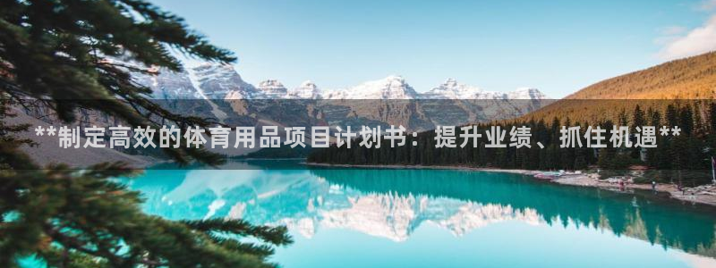 欧陆娱乐出款：**制定高效的体育用品项目计划书：提升