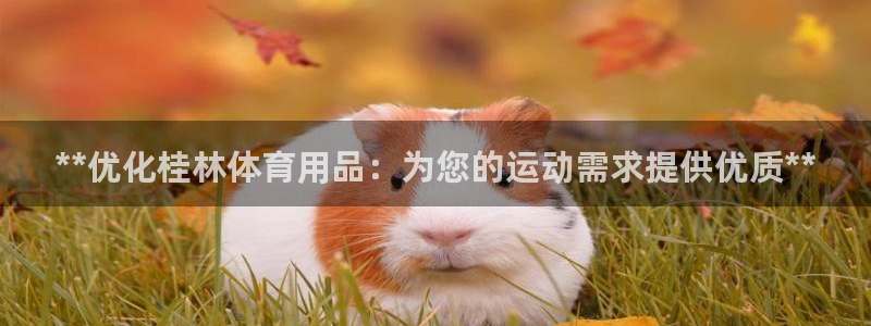 欧陆娱乐平台官网：**优化桂林体育用品：为您的运动需