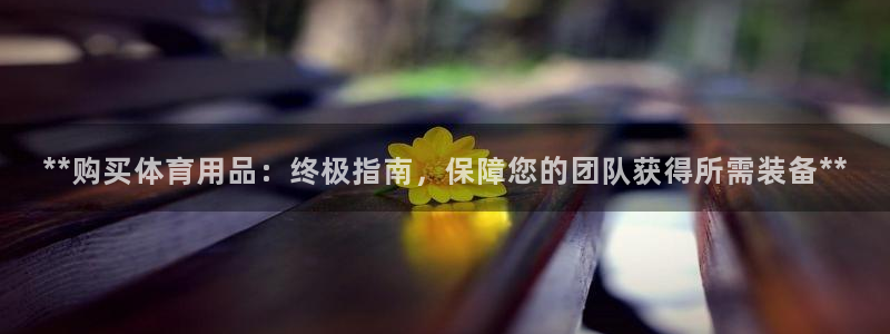欧陆娱乐挂机怎么玩：**购买体育用品：终极指南，保障