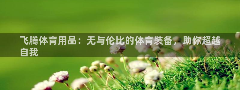 欧陆娱乐欧陆主管：飞腾体育用品：无与伦比的体育装备，助你超越