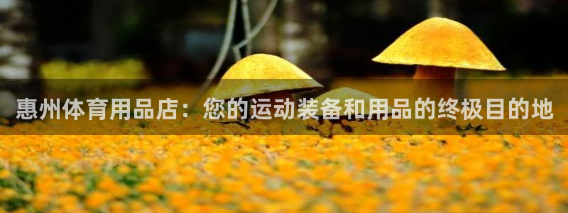 欧陆娱乐是资金盘吗：惠州体育用品店：您的运动装备和用