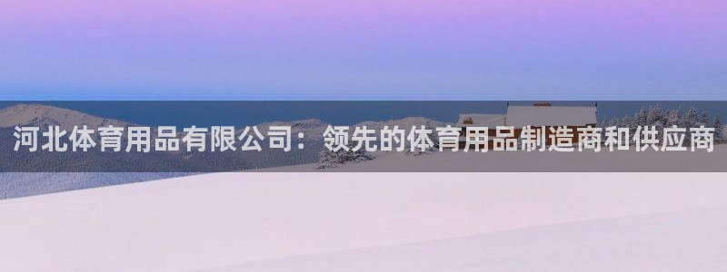 欧陆娱乐挂机怎么玩：河北体育用品有限公司：领先的体育