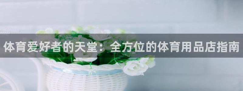 欧陆娱乐游戏特色：体育爱好者的天堂：全方位的体育用品