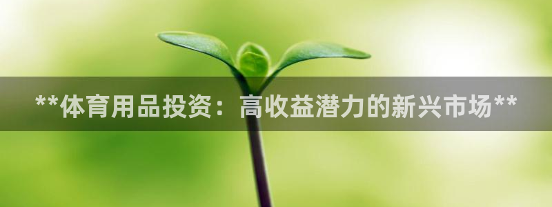 欧陆娱乐不让提现吗：**体育用品投资：高收益潜力的新